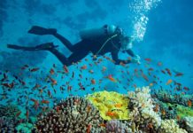 Enchanting scuba diving Nha Trang experiences Scuba diving Nha Trang, Vietnam