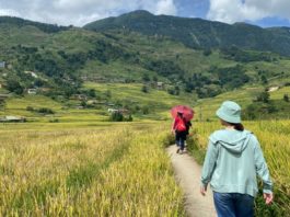 Trekking in Sapa: A Complete Guide to Options, Tours, and Tips Trekking in Sapa