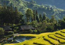 Y Linh Ho Village: Exploring the Enchanting Beauty of Sapa Y Linh Ho Village, Sapa